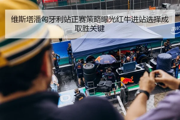 维斯塔潘匈牙利站正赛策略曝光红牛进站选择成取胜关键